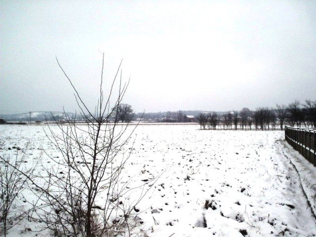 sedlare_januar_2005 (6)