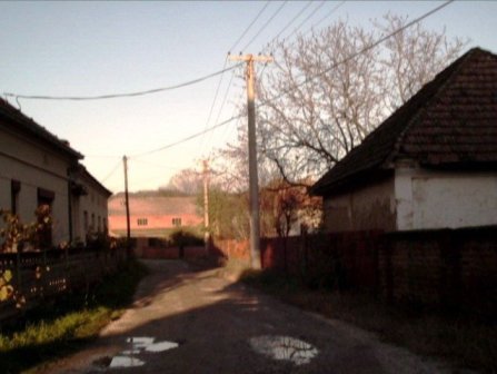 sedlare_2004_jesen_ (37)
