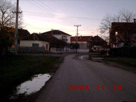 sedlare_2004_jesen_ (45)