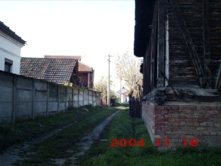 sedlare_2004_jesen_ (98)