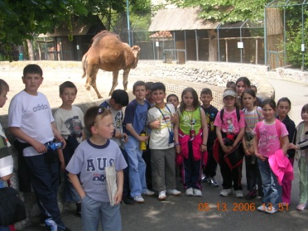 Ekskurzija, Zoo vrt Beograd - foto 4