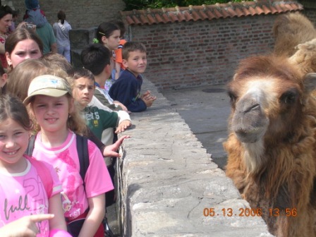 Ekskurzija, Zoo vrt Beograd - foto 6